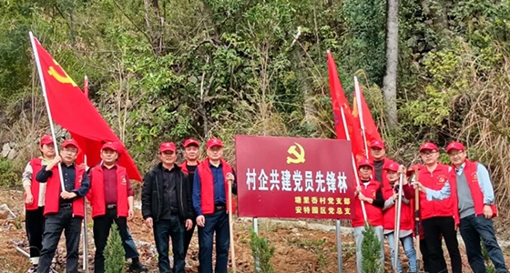 村企共建，共植先鋒林